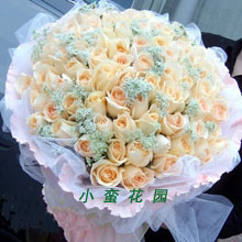 Rose Love