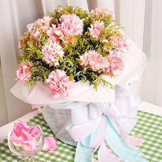 Mother's love streamer