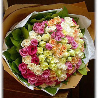 Colors Roses