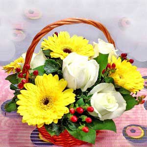 Bright Basket