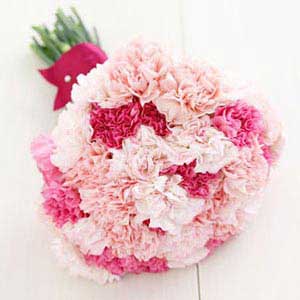 Pink Carnations