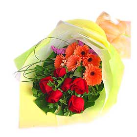Century Rose B