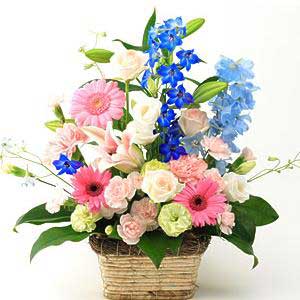 Seasonal Arrangement