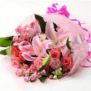 French Pink