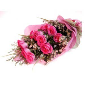 Pink roses