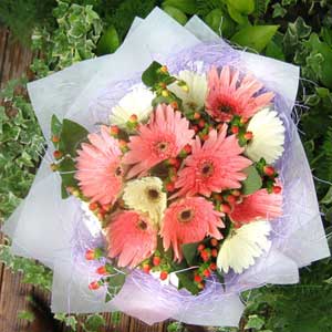 Gerbera banquet
