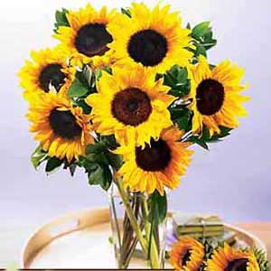 Sunflowers