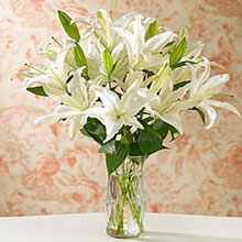 White care
