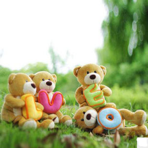 LOVE Bear