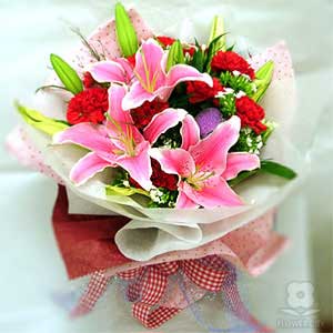 Carnations sea