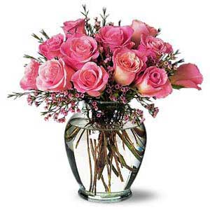 Pink roses
