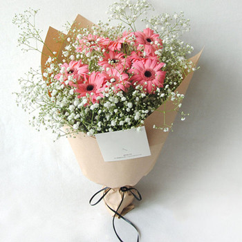 pink gerbera