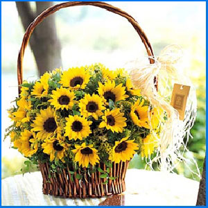 Sunflower Wish