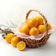 Orange basket