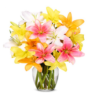 Awesome Lilies